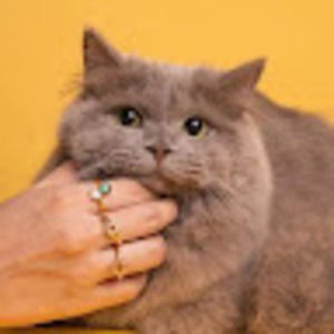 Meet your Posher, Kay